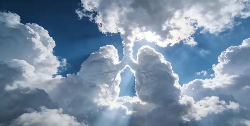 平凉肺癌12基因ctDNA突变检测(血液）图片1