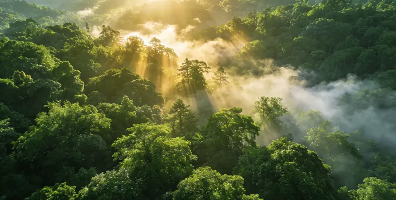 平凉肺癌68基因检测图片1