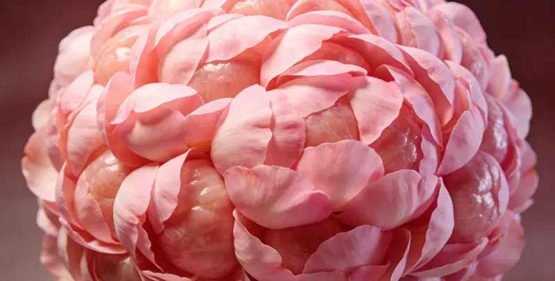 平凉BRCA1/2乳腺癌卵巢癌基因检测图片1